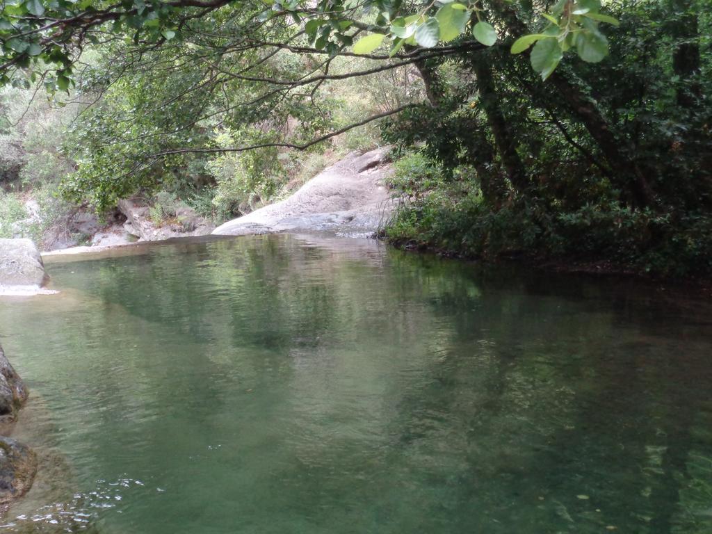 Appartamento Carrerapiana Pigna Rom bilde